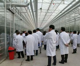 永通科技亮相京津冀，共探蔬菜工廠化生產新路徑